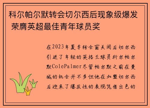 科尔帕尔默转会切尔西后现象级爆发 荣膺英超最佳青年球员奖
